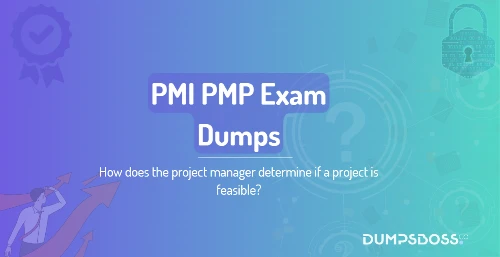 How does the project manager determine if a project is feasible?