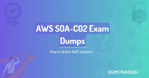 How to delete AWS instance