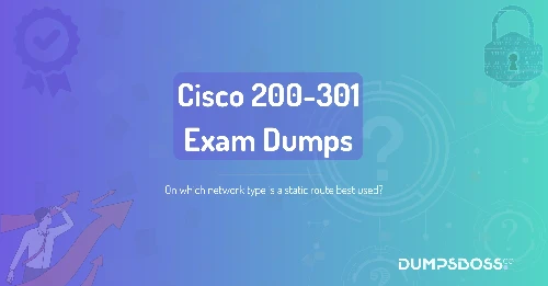 On which network type is a static route best used?