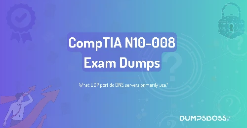 What UDP port do DNS servers primarily use?