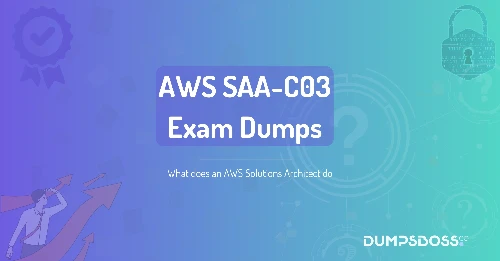 What does an AWS Solutions Architect do