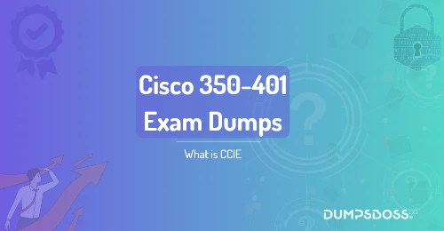 What is CCIE