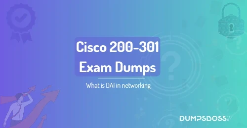 What is DAI in networking