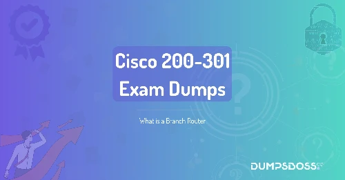 What is a Branch Router