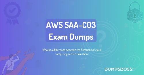 What is a difference between the functions of cloud computing and virtualization?