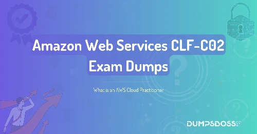 What is an AWS Cloud Practitioner