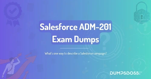 What’s one way to describe a Salesforce campaign?