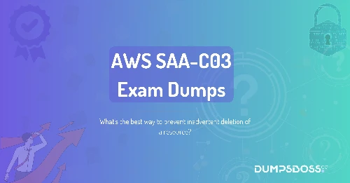 What's the best way to prevent inadvertent deletion of a resource?