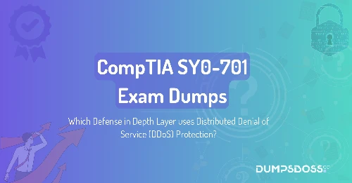 Which Defense in Depth Layer uses Distributed Denial of Service (DDoS) Protection?