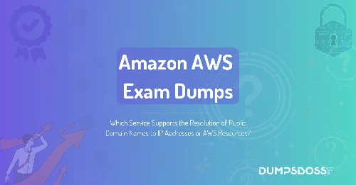 Which Service Supports the Resolution of Public Domain Names to IP Addresses or AWS Resources?