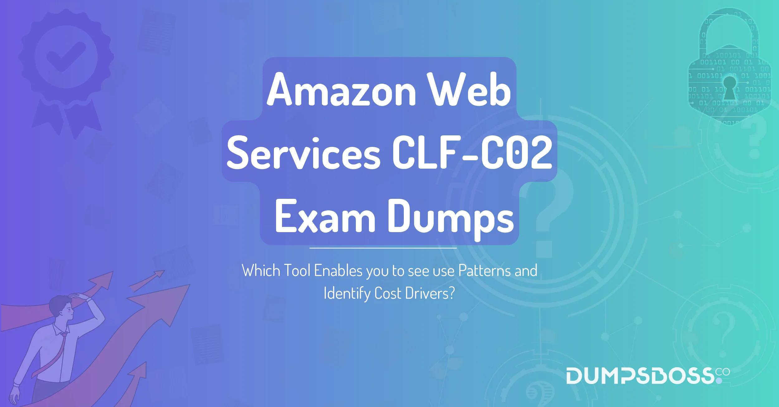 Which Tool Enables you to see use Patterns and Identify Cost Drivers?