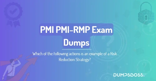 Which of the following actions is an example of a Risk Reduction Strategy?
