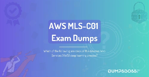 Which of the following are steps of the Amazon Web Services (AWS) deep learning process?