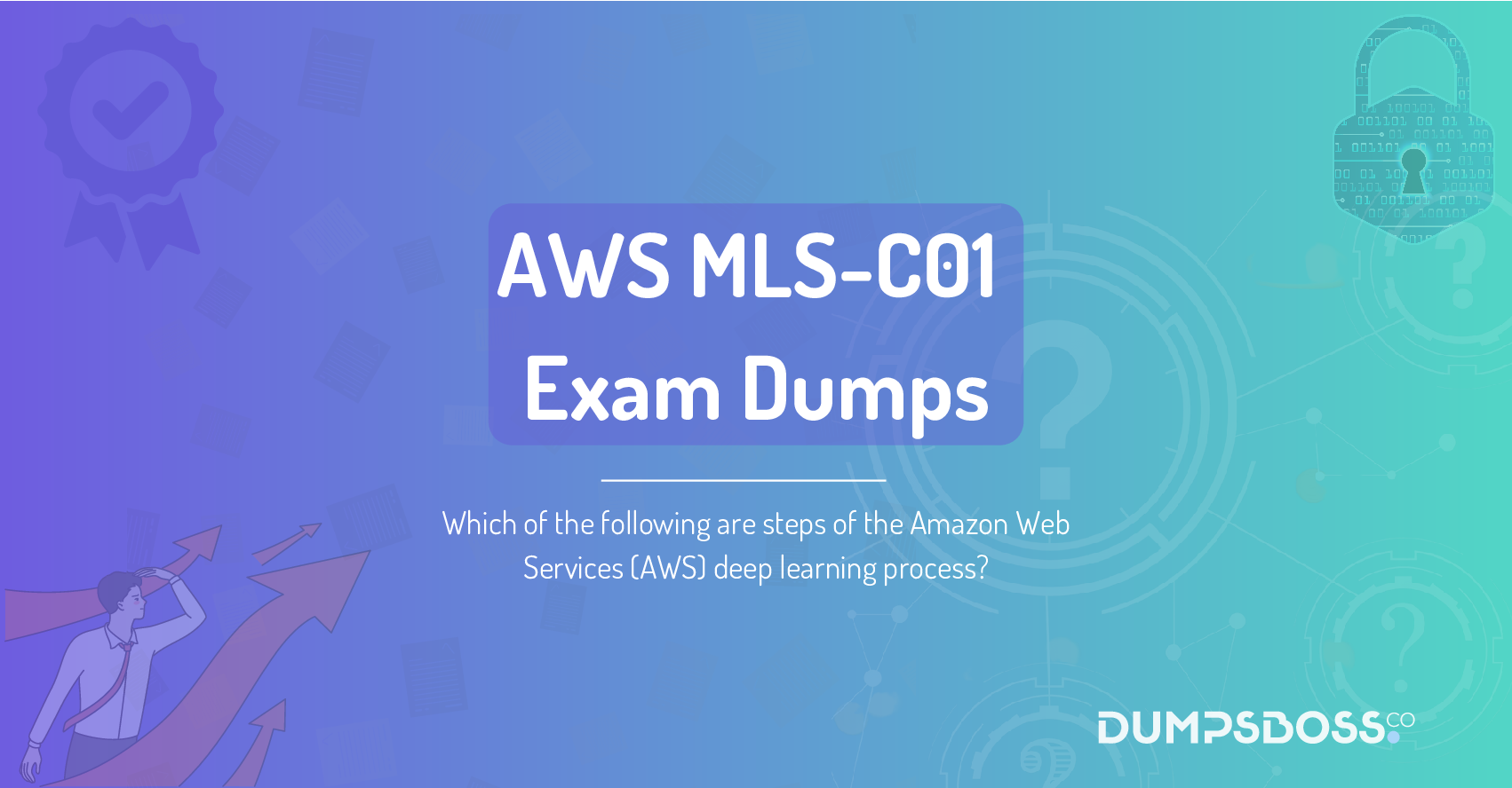 Which of the following are steps of the Amazon Web Services (AWS) deep learning process?