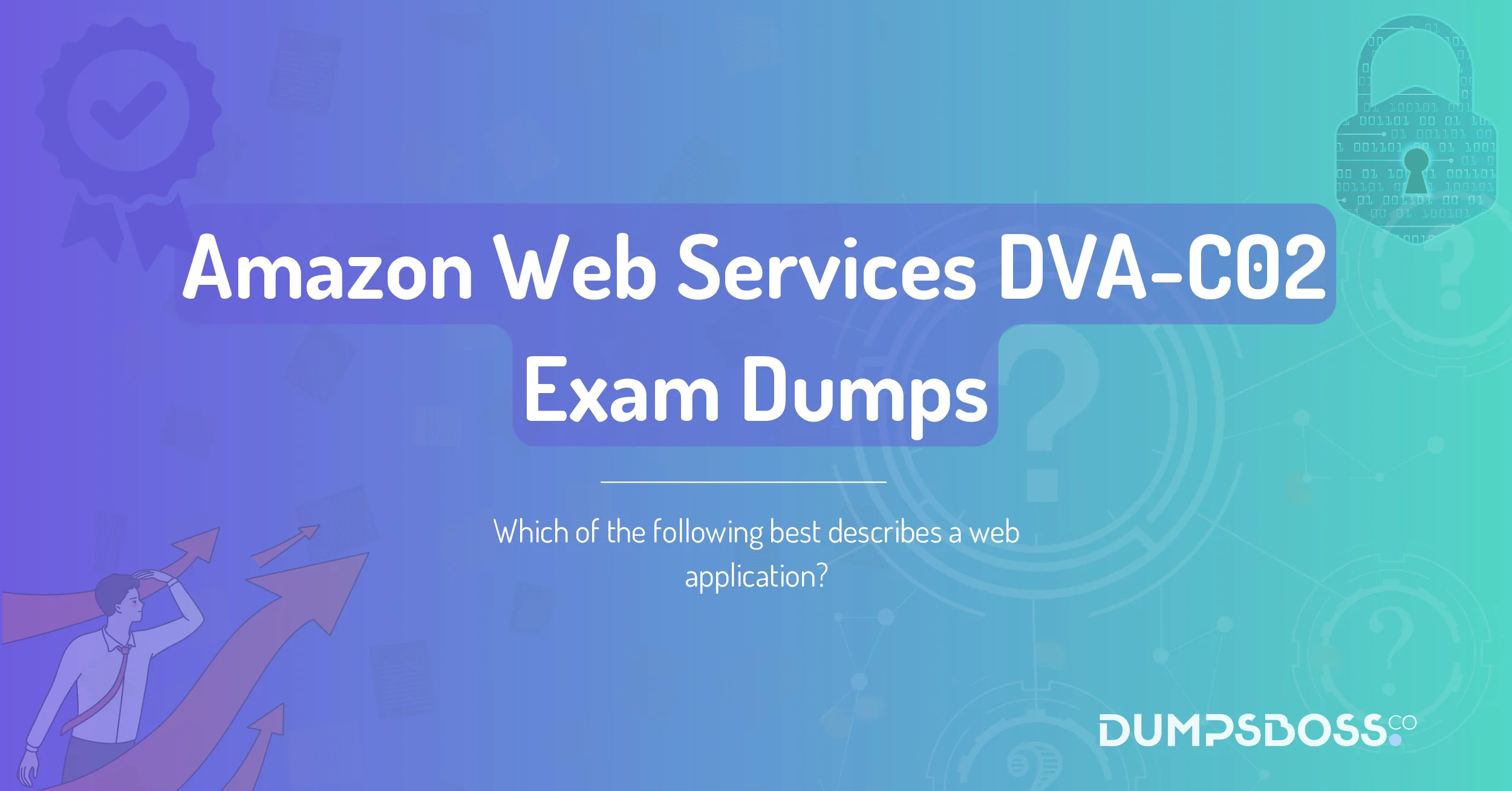 Which of the following best describes a web application?