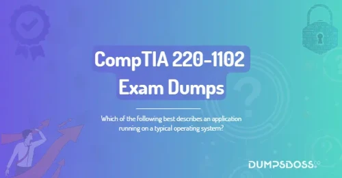 Which of the following best describes an application running on a typical operating system?