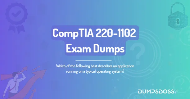 Which of the following best describes an application running on a typical operating system?
