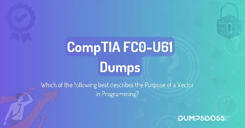 Which of the following best describes the Purpose of a Vector in Programming?