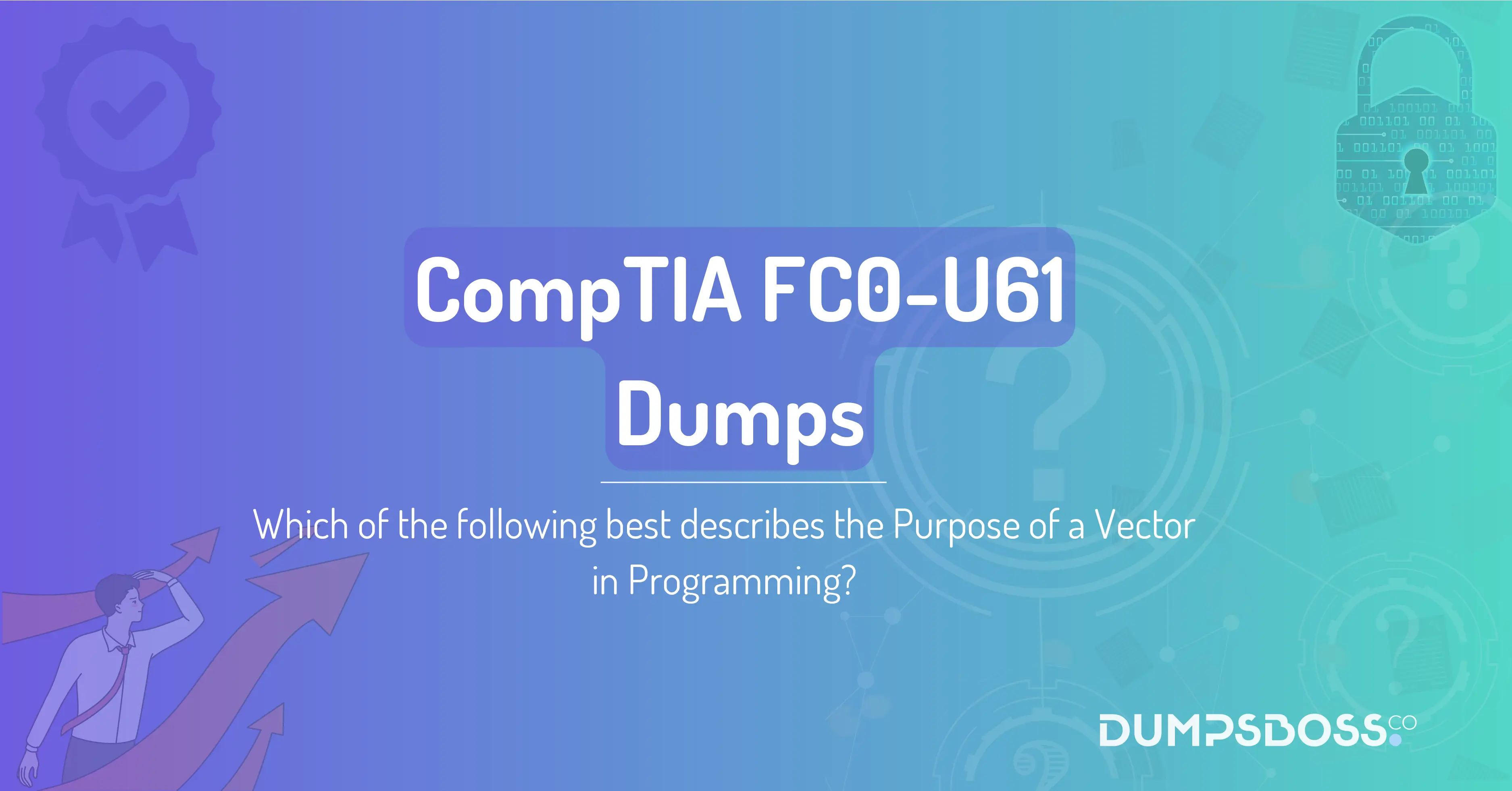 Which of the following best describes the Purpose of a Vector in Programming?