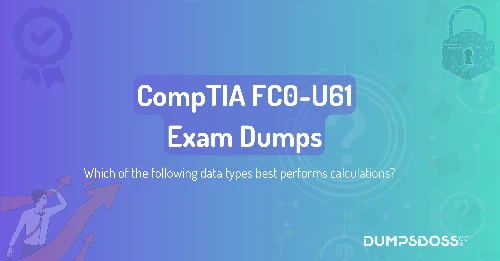 Which of the following data types best performs calculations?