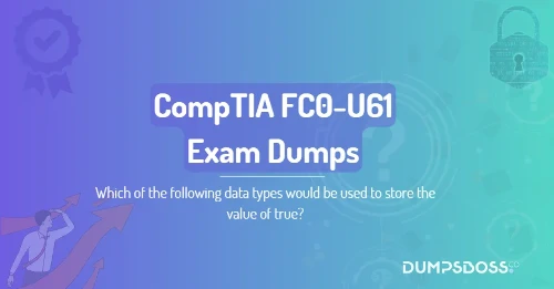 Which of the following data types would be used to store the value of true?