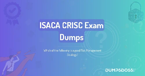 Which of the following is a good Risk Management Strategy?