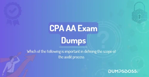 Which of the following is important in defining the scope of the audit process