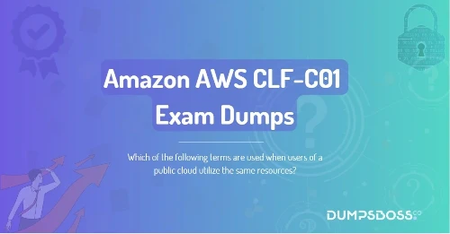 Which of the following terms are used when users of a public cloud utilize the same resources?