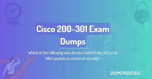 Which of the following uses Access Control Lists (ACLs) to filter packets as a form of security?