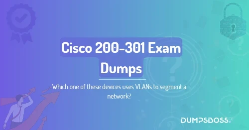 Which one of these devices uses VLANs to segment a network?
