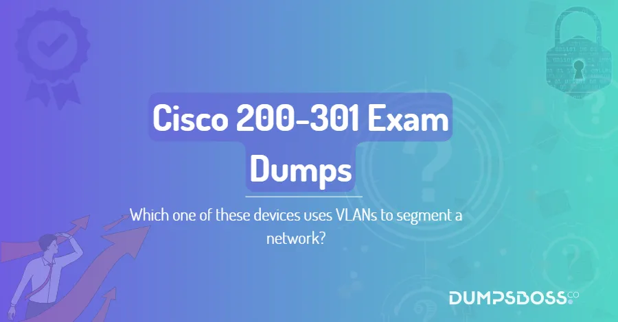 Which one of these devices uses VLANs to segment a network?