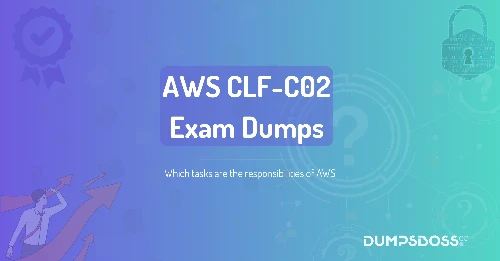Which tasks are the responsibilities of AWS