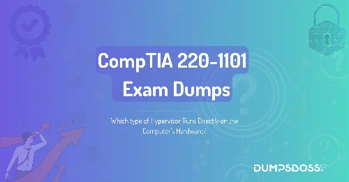 Which type of Hypervisor Runs Directly on the Computer's Hardware?