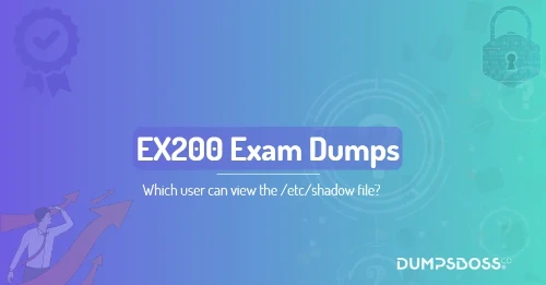 Which user can view the /etc/shadow file?
