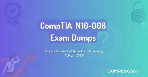 Which utility uses the Internet Control Messaging Protocol (ICMP)?