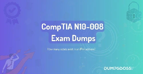 How many octets exist in an IPv4 address?