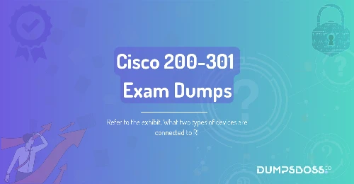 Refer to the exhibit. What two types of devices are connected to R1? (Choose two.)
