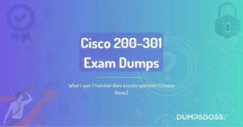 What Layer 2 function does a router perform? (Choose three.)