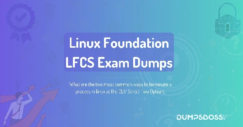 What are the two most common ways to terminate a process in linux at the CLI? Select Two Options.