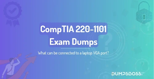 What can be connected to a laptop VGA port?