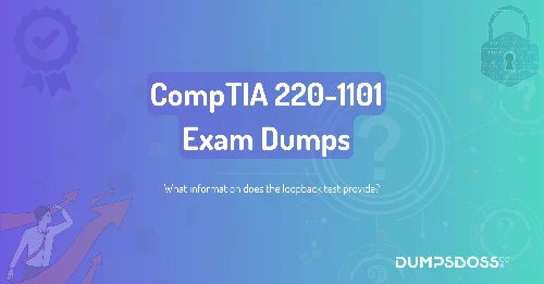 What information does the loopback test provide?