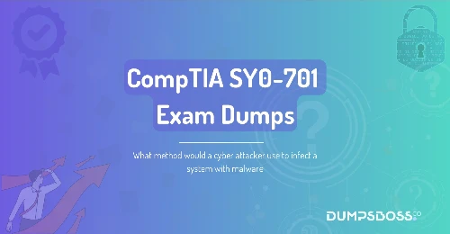 What method would a cyber attacker use to infect a system with malware