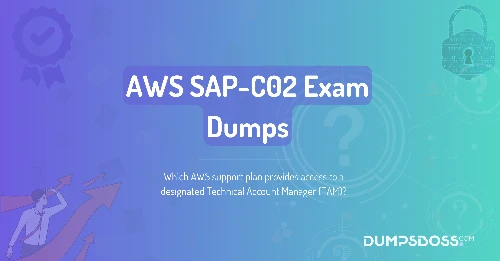 Which AWS support plan provides access to a designated Technical Account Manager (TAM)?