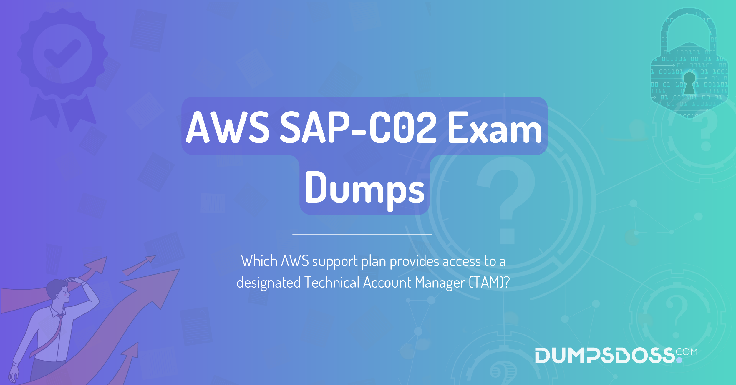 Which AWS support plan provides access to a designated Technical Account Manager (TAM)?