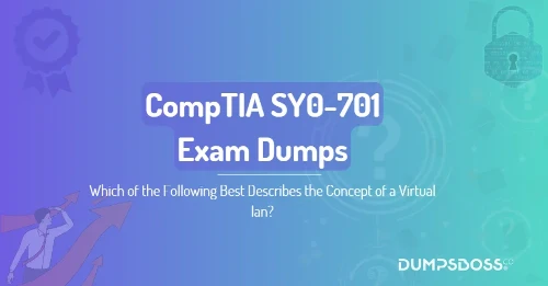 Which of the Following Best Describes the Concept of a Virtual lan?