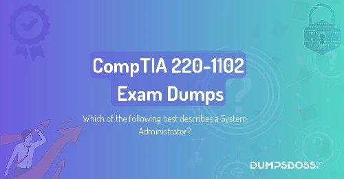 Which of the following best describes a System Administrator?