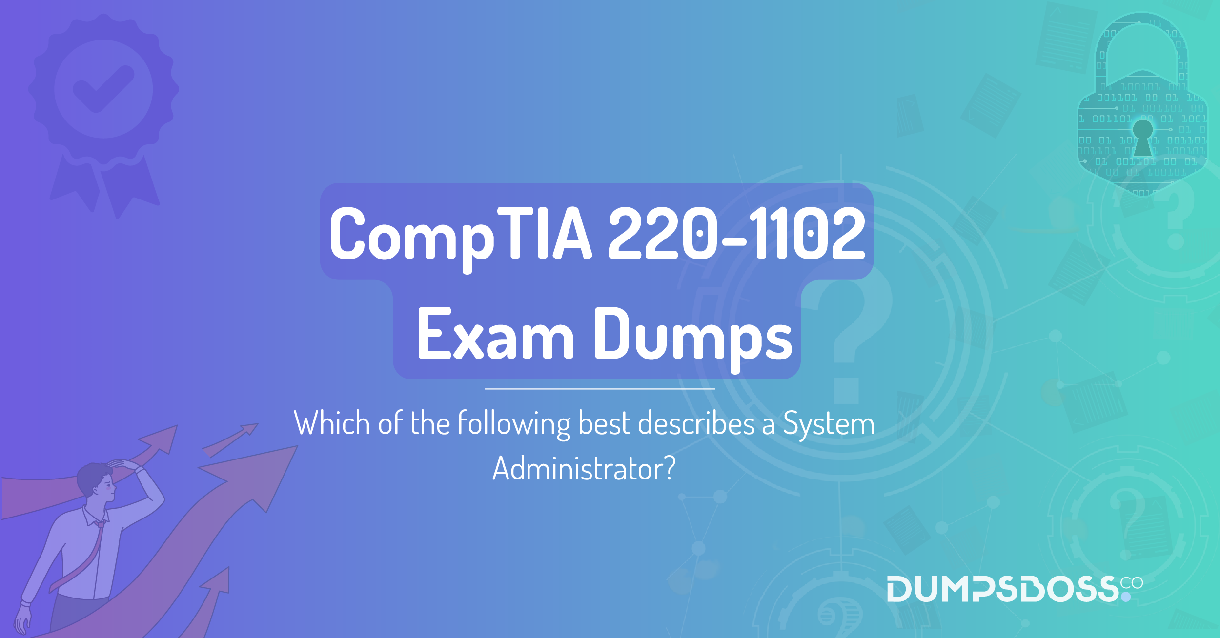 Which of the following best describes a System Administrator?