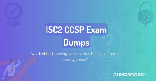 Which of the following best describes the Cloud Access Security Broker?
