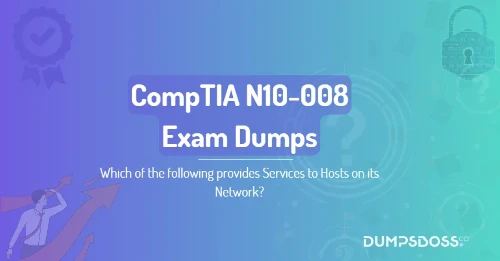 Which of the following provides Services to Hosts on its Network?