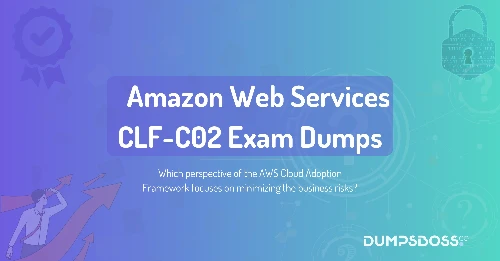 Which perspective of the AWS Cloud Adoption Framework focuses on minimizing the business risks?